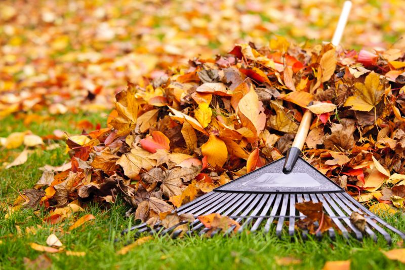 Fall Lawn Preparation