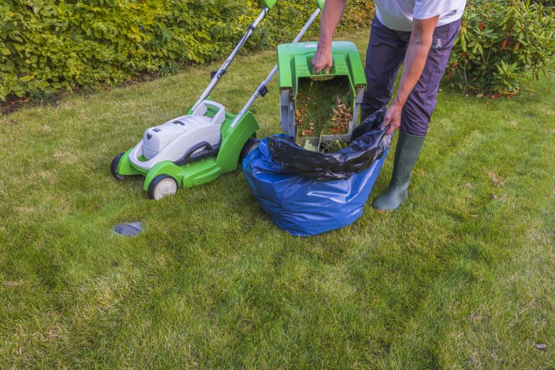 Seasonal Lawn Maintenance
