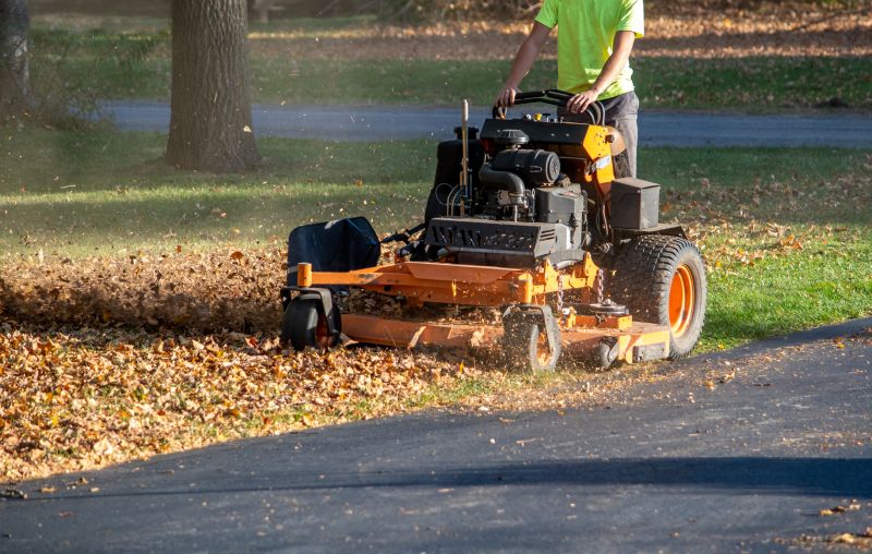 Lawn Cleanup Equipment