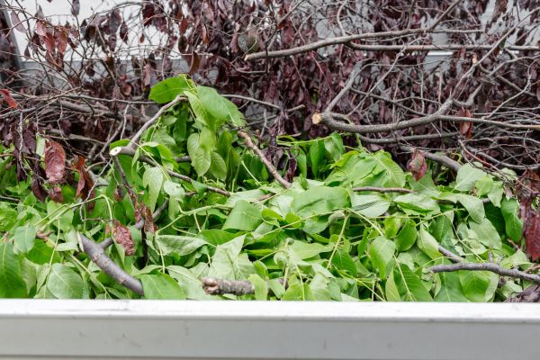 Cost of Brush Pile Removal in Destin