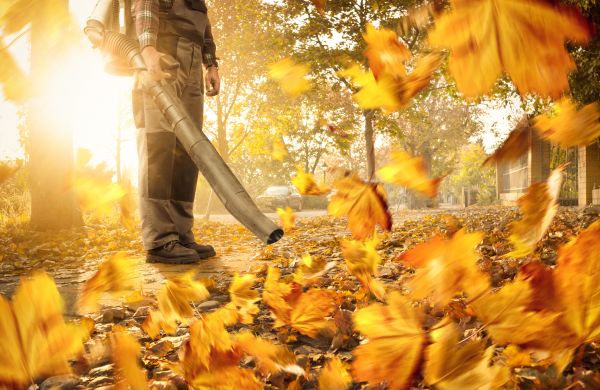 Cost of Leaf Blowing Service in Destin