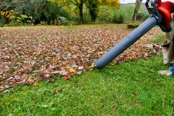 Cost of Leaf Vacuuming Service in Destin