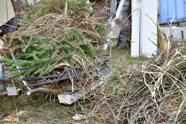 Cost of Yard Debris Removal in Destin