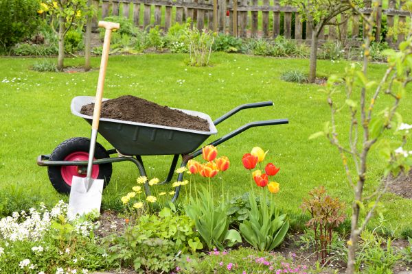 Cost of Spring Yard Cleanup in Destin