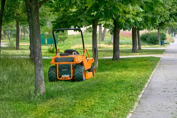 Cost of Landscaping Cleanup Service in Destin