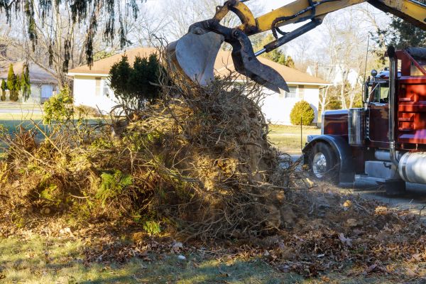 Cost of Storm Debris Removal in Destin