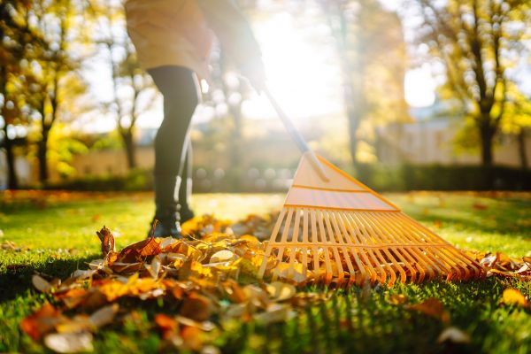 Cost of Leaves Raking in Destin