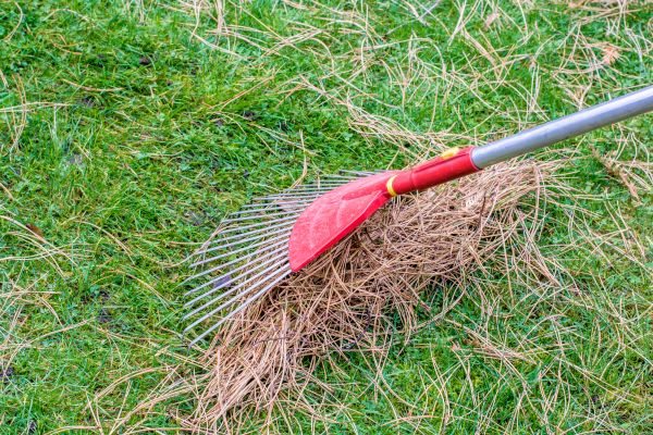 Cost of Yard Raking in Destin