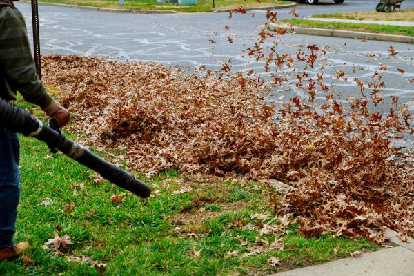 Cost of Garden Leaf Removal in Destin