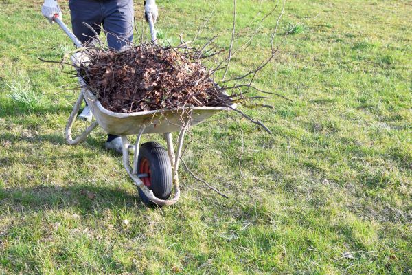 Cost of Yard Brush Removal in Destin
