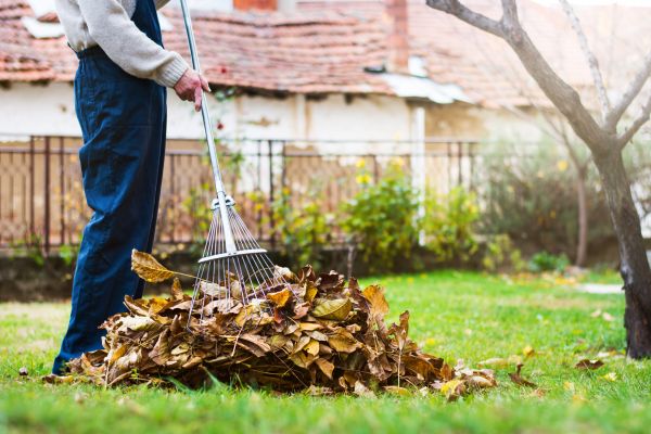 Cost of Spring Lawn Cleanup in Destin