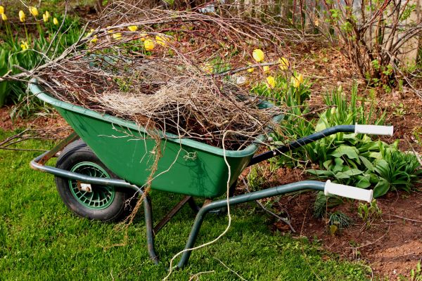 Cost of Lawn Waste Removal in Destin