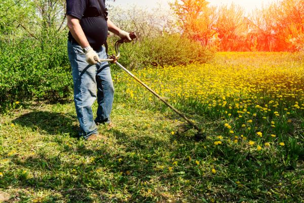 Cost of Yard Clearing Service in Destin