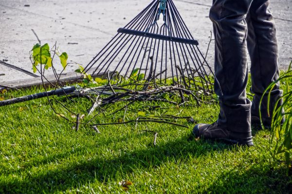 Cost of Yard Debris Cleanup in Destin
