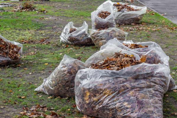 Cost of Leaf Pile Disposal in Destin